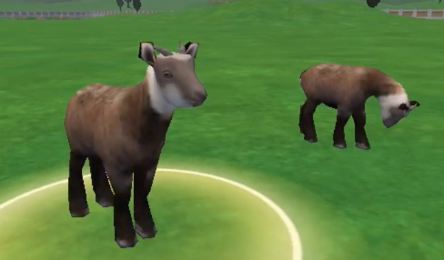 Zoo Tycoon 2: Forgotten Animals