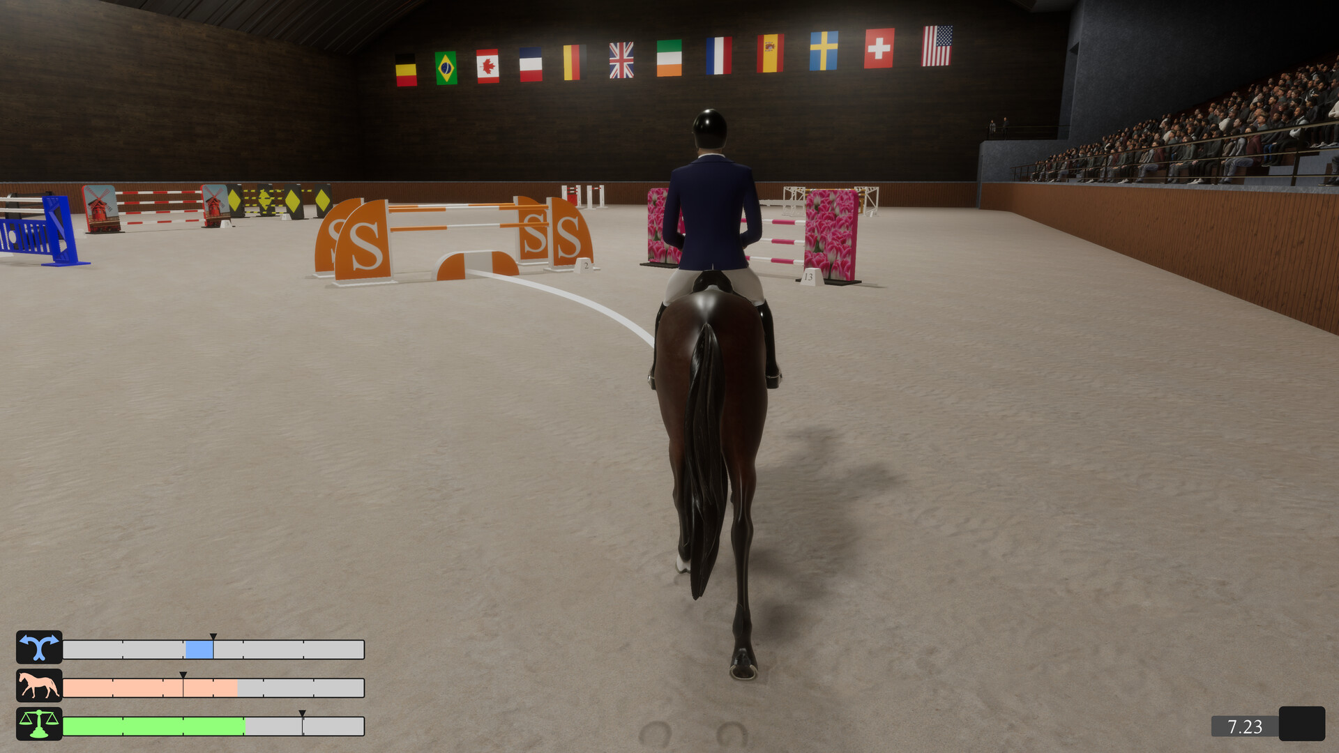 Pro Show Jumping