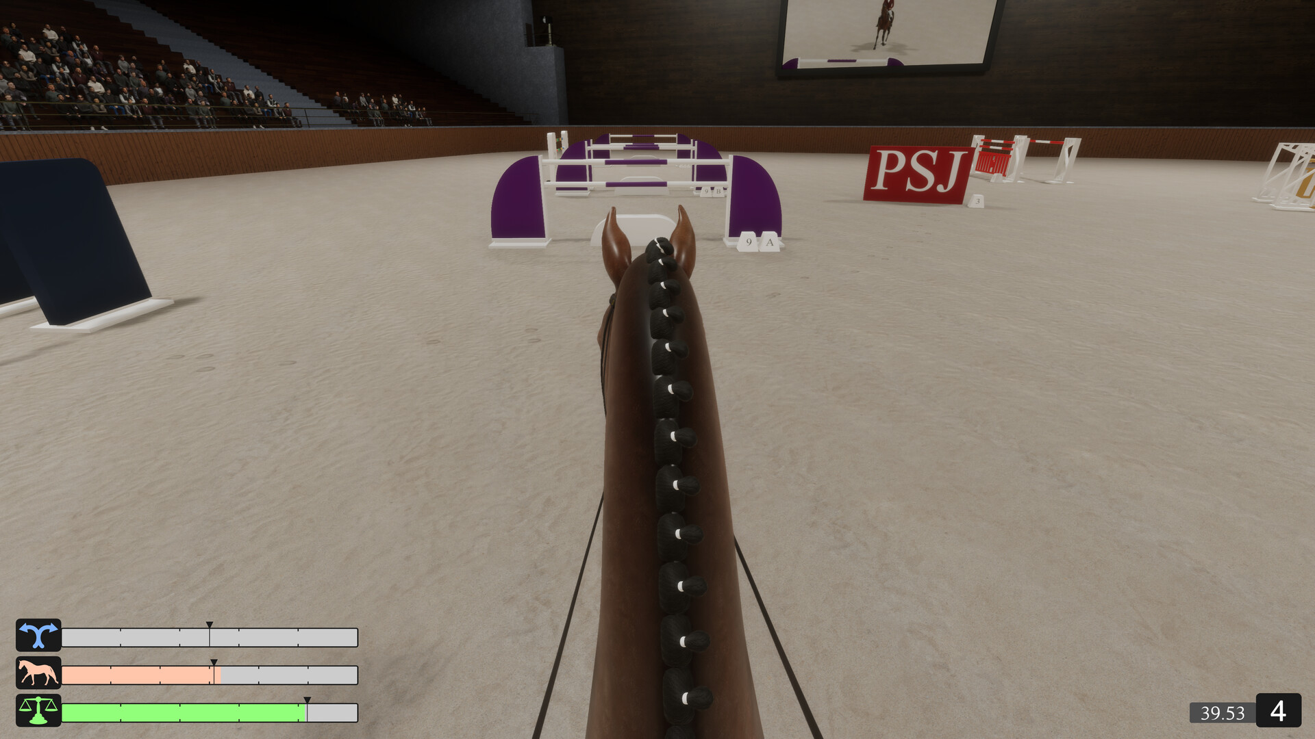Pro Show Jumping