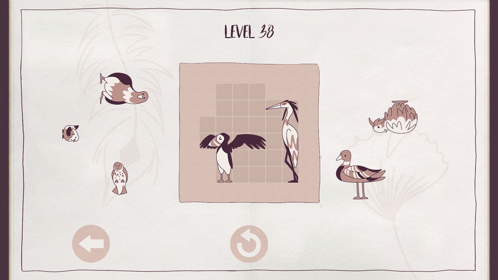 Birds Organized Neatly