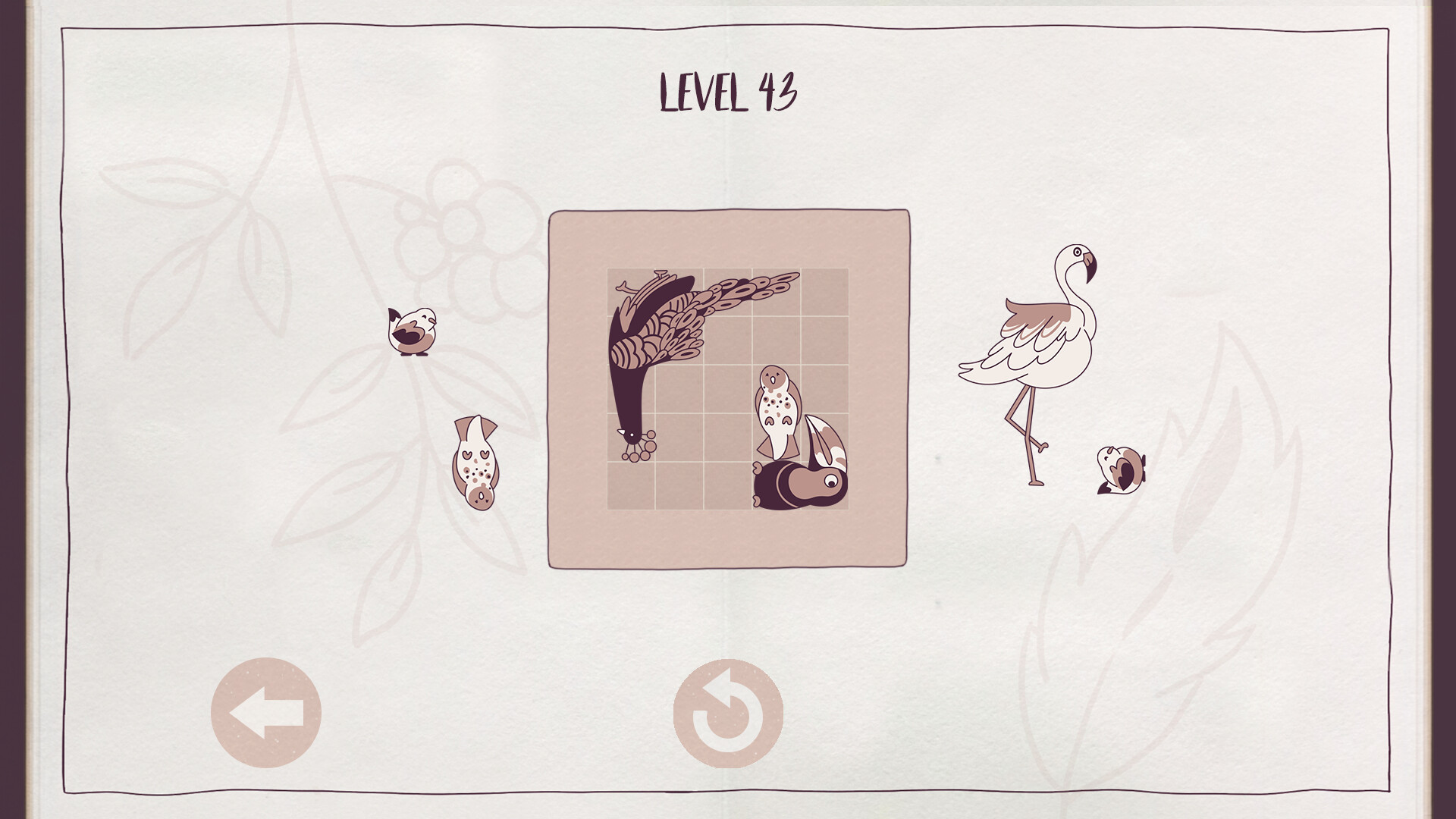 Birds Organized Neatly