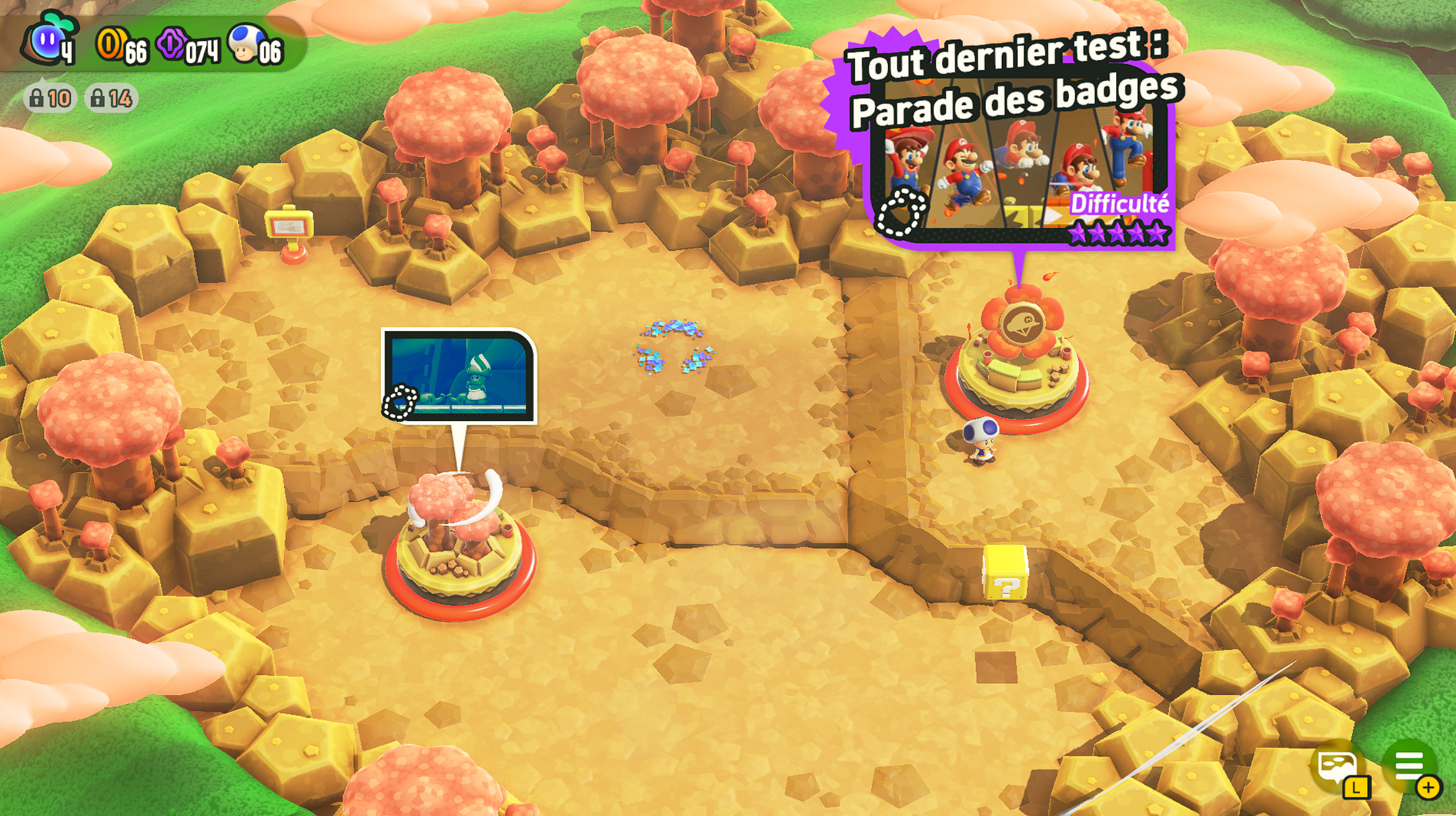 SMBW Randomizer
