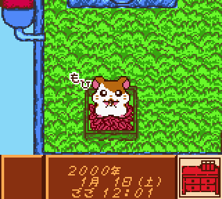 Tottoko Hamtaro: Tomodachi Daisakusen Dechu