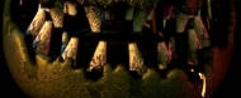 5 Nights at Hoax Freddy’s