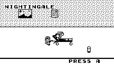 Reflections: Nightingale