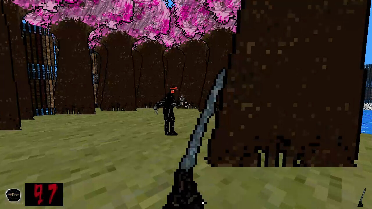 Flash of the Blade X