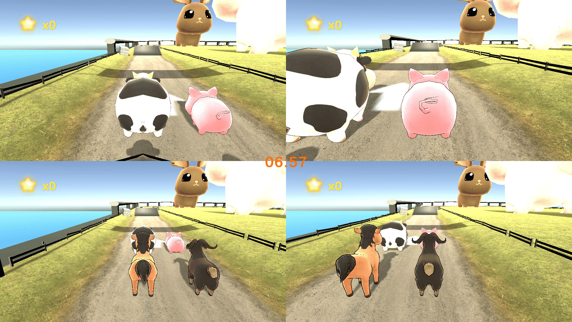 Animal Race Party