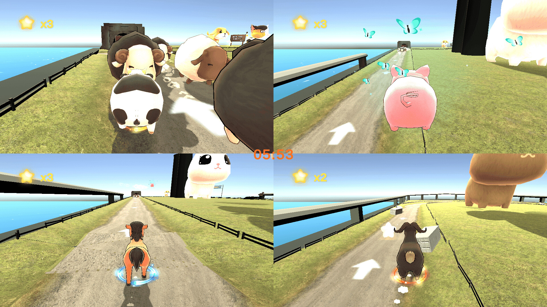 Animal Race Party