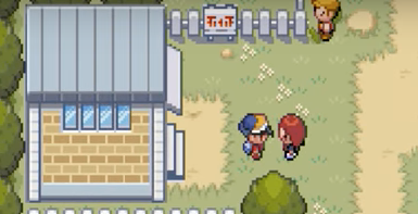 Pokémon Shiny Gold Version