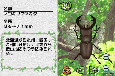 Mushi! Machi no Konchuu Monogatari