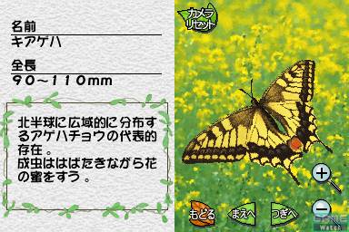 Mushi! Machi no Konchuu Monogatari