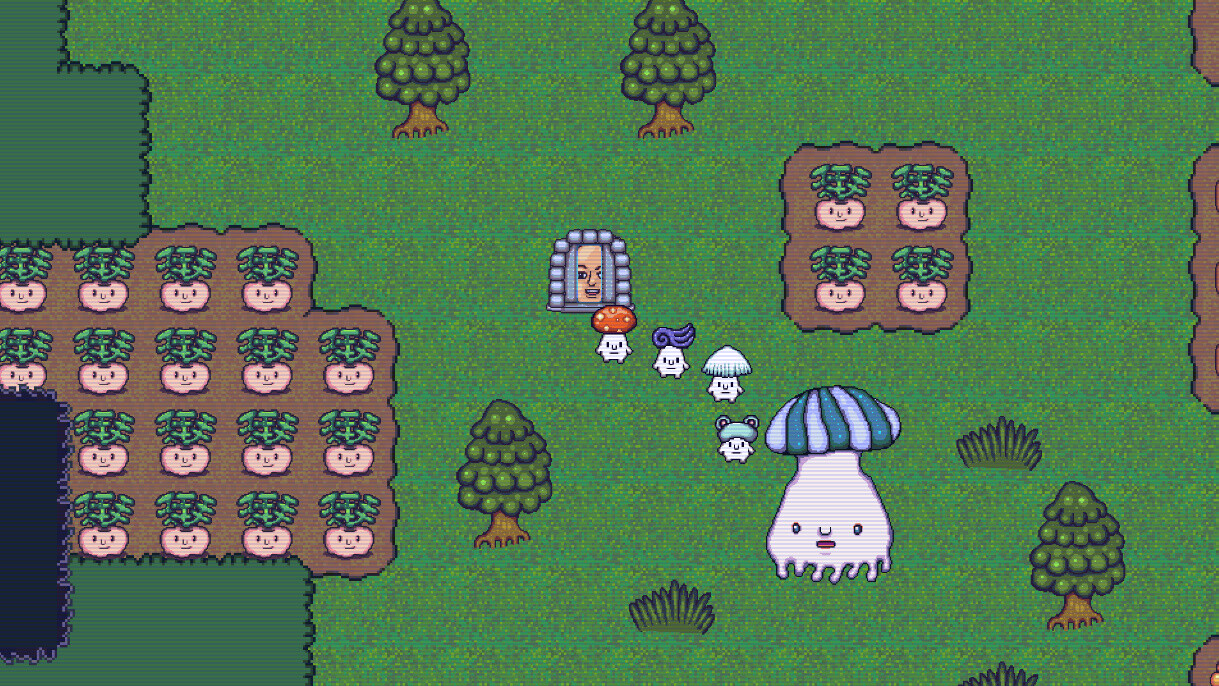 Mushroom Collection