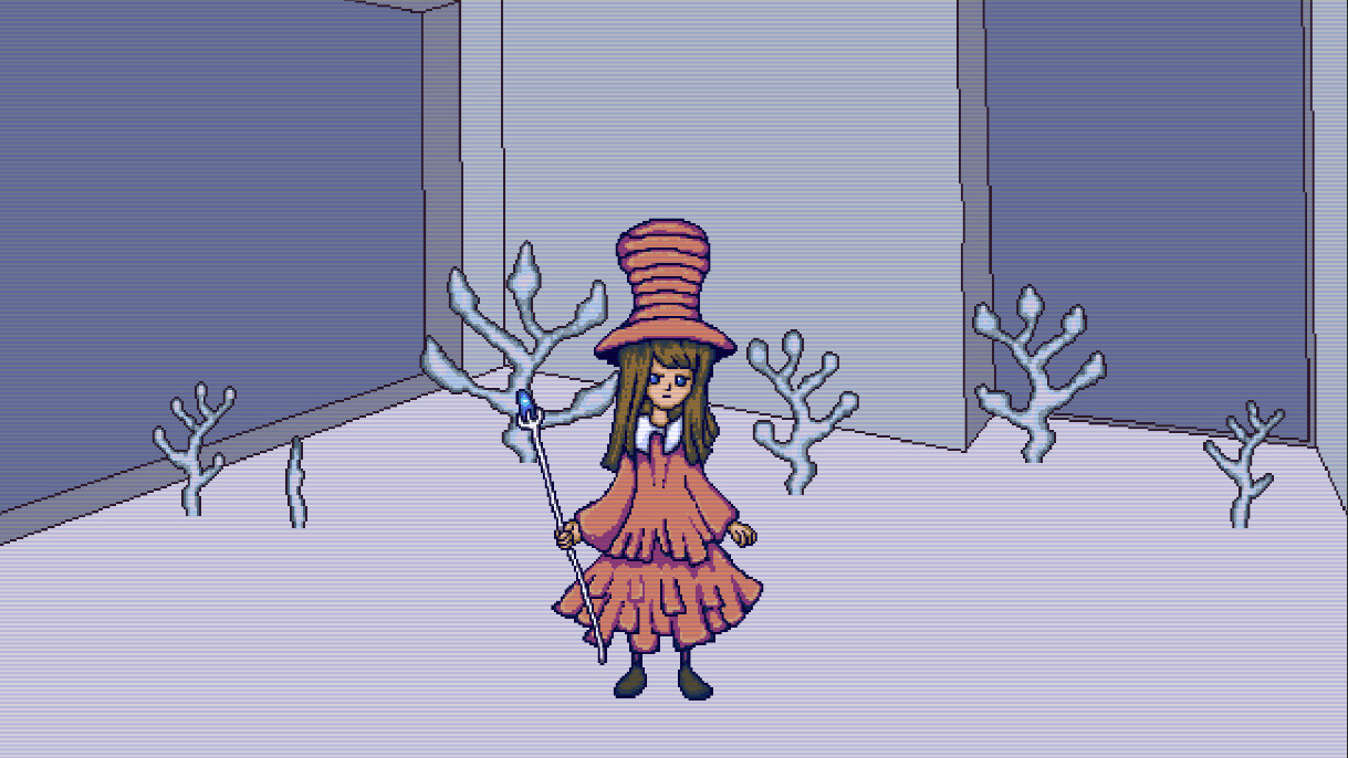 Mushroom Collection