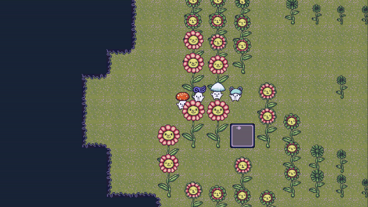 Mushroom Collection
