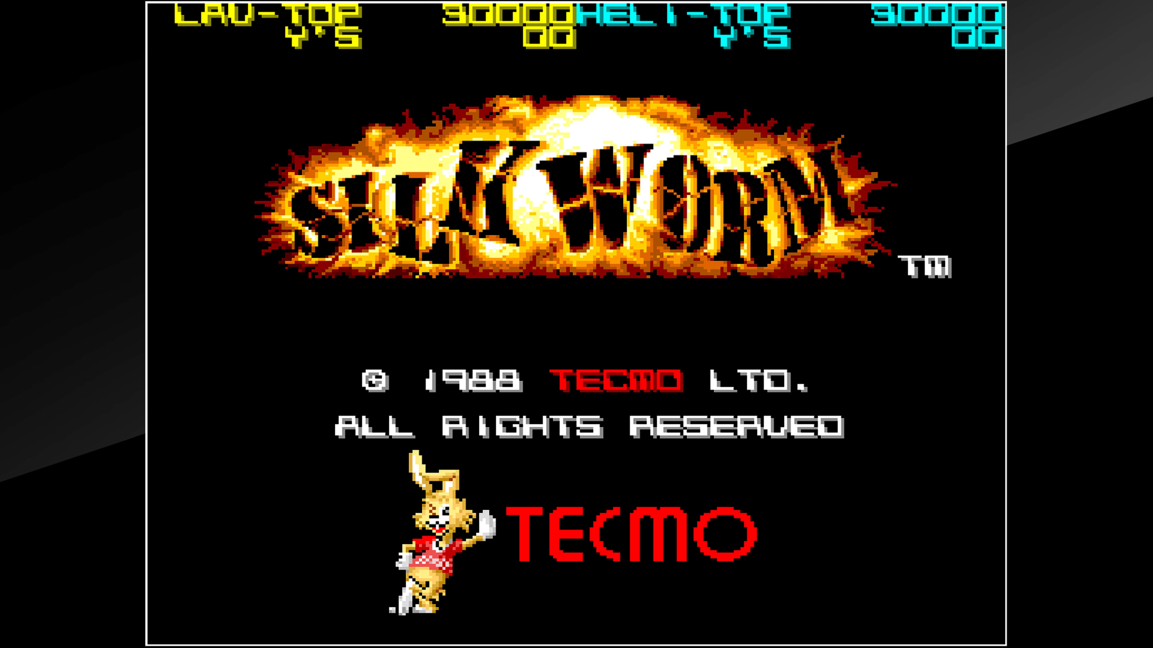 Arcade Archives: Silk Worm