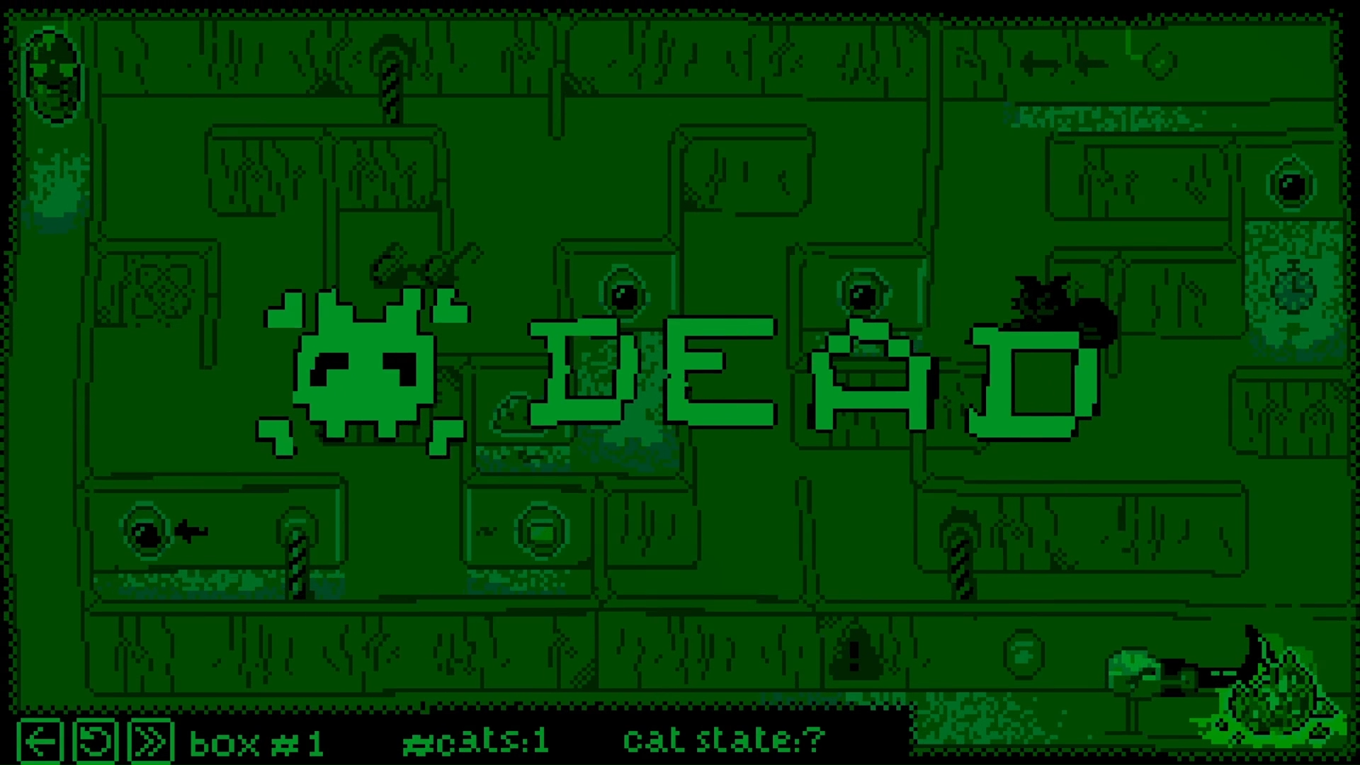 Schrodinger’s Cat Experiment