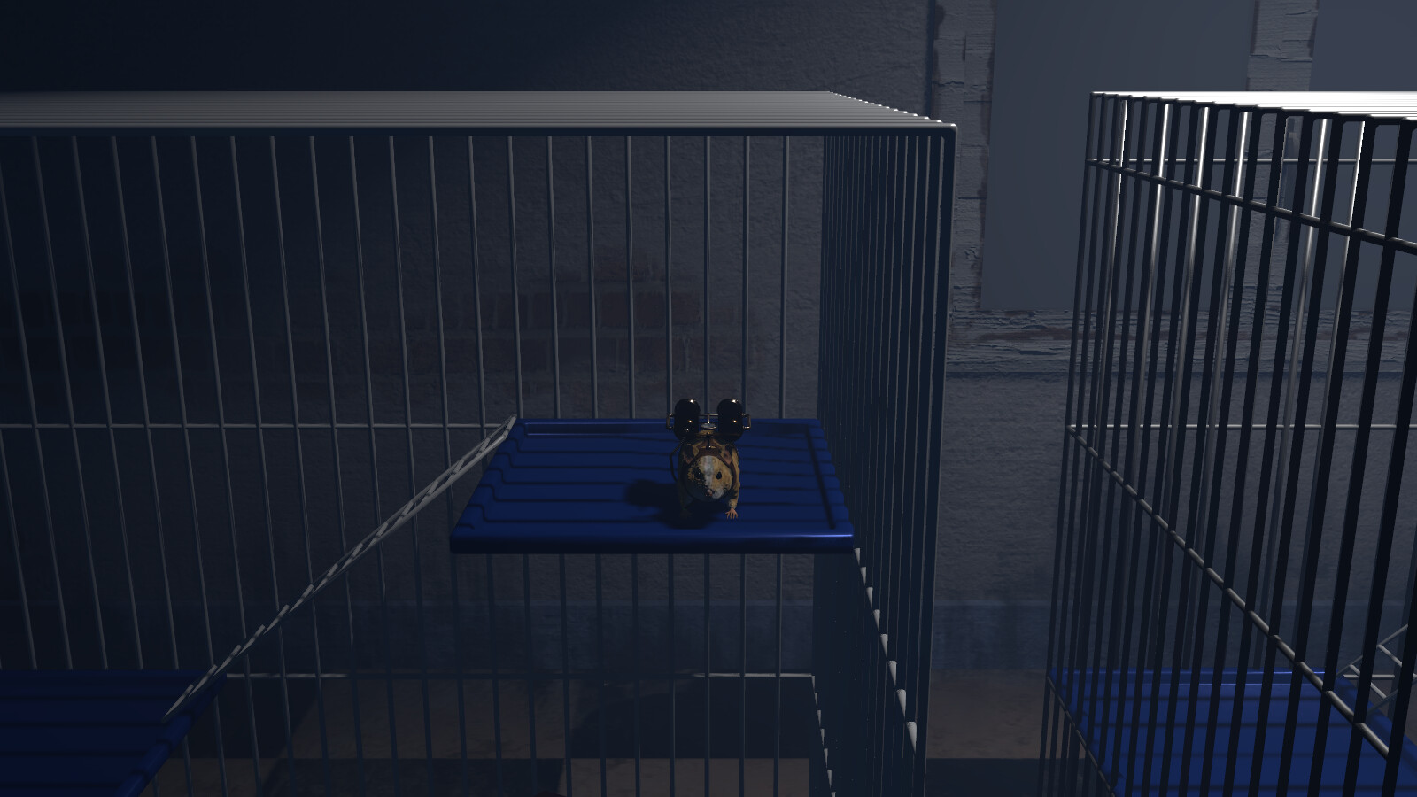 Guinea Pig