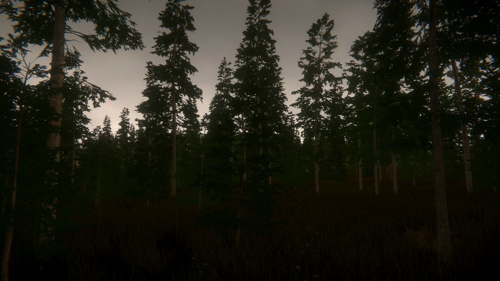 Pastor’s Lake: The Game