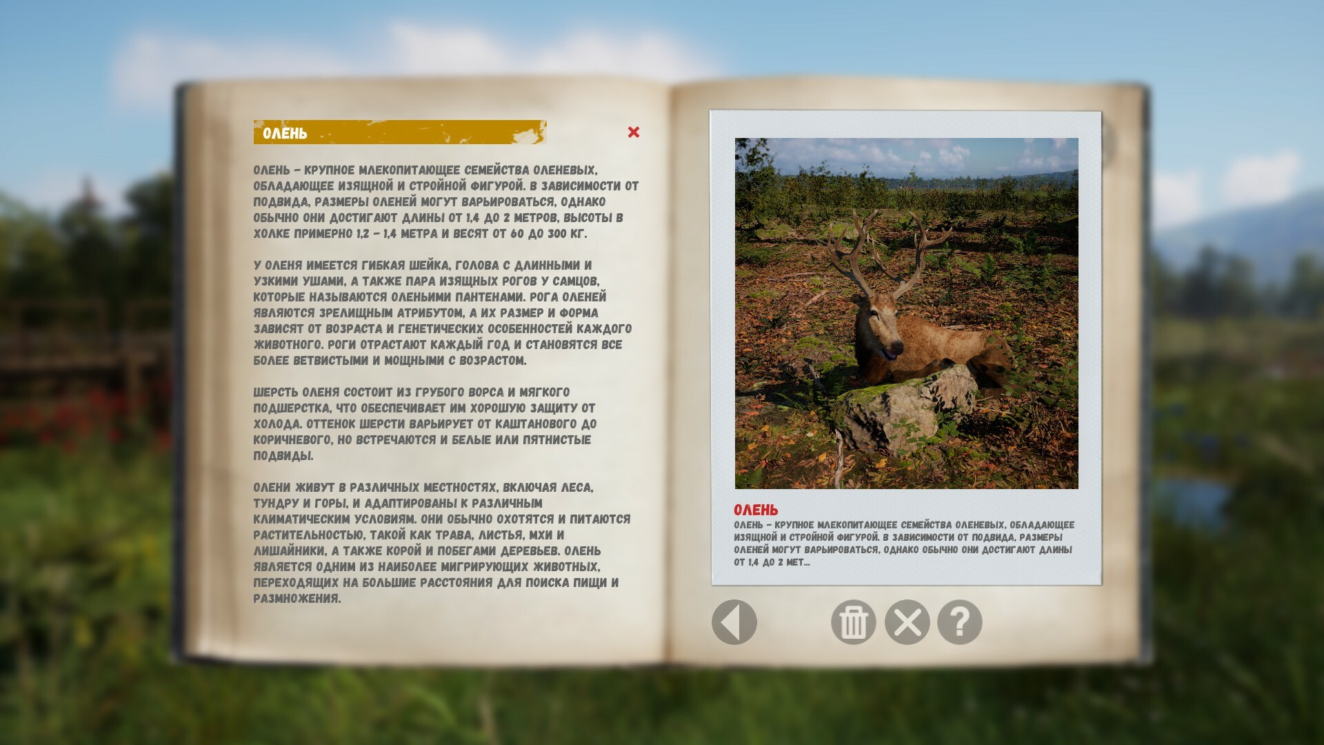 Russian Soul Simulator