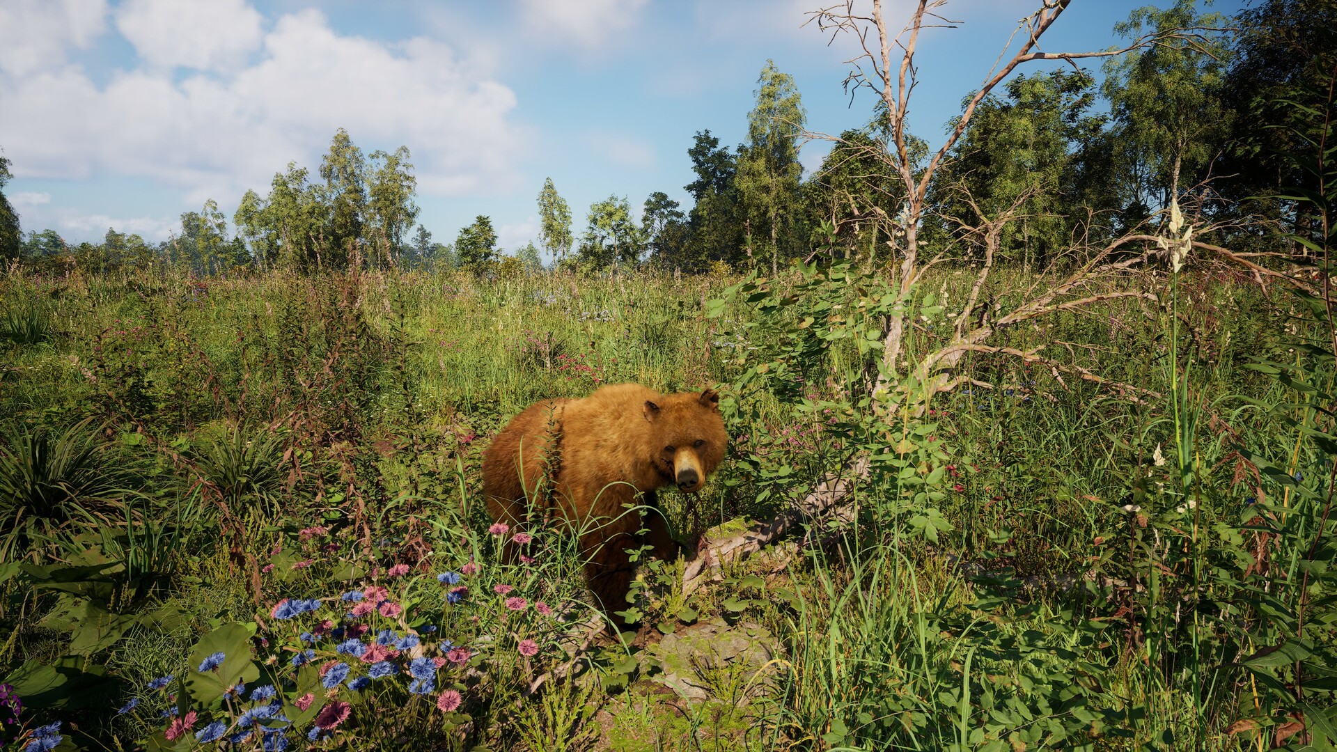 Russian Soul Simulator