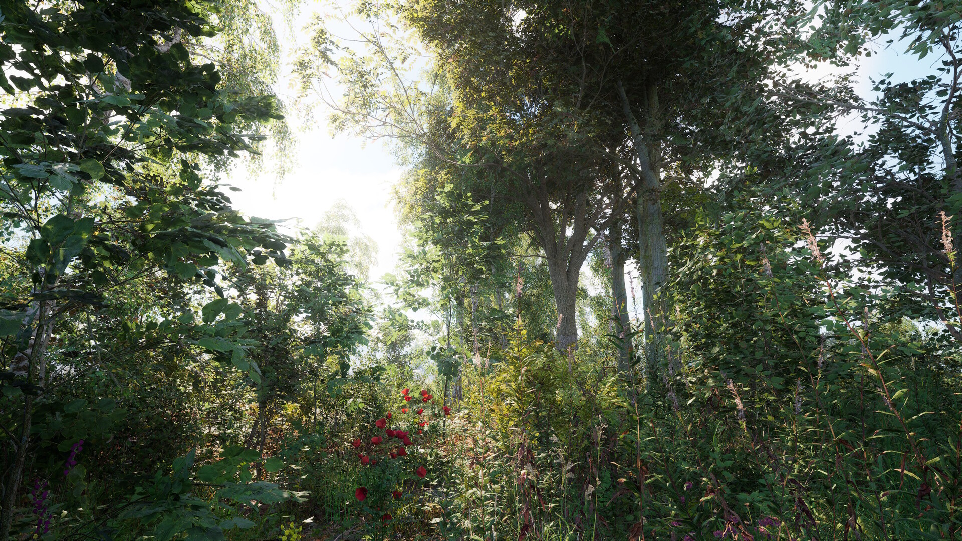 Russian Soul Simulator