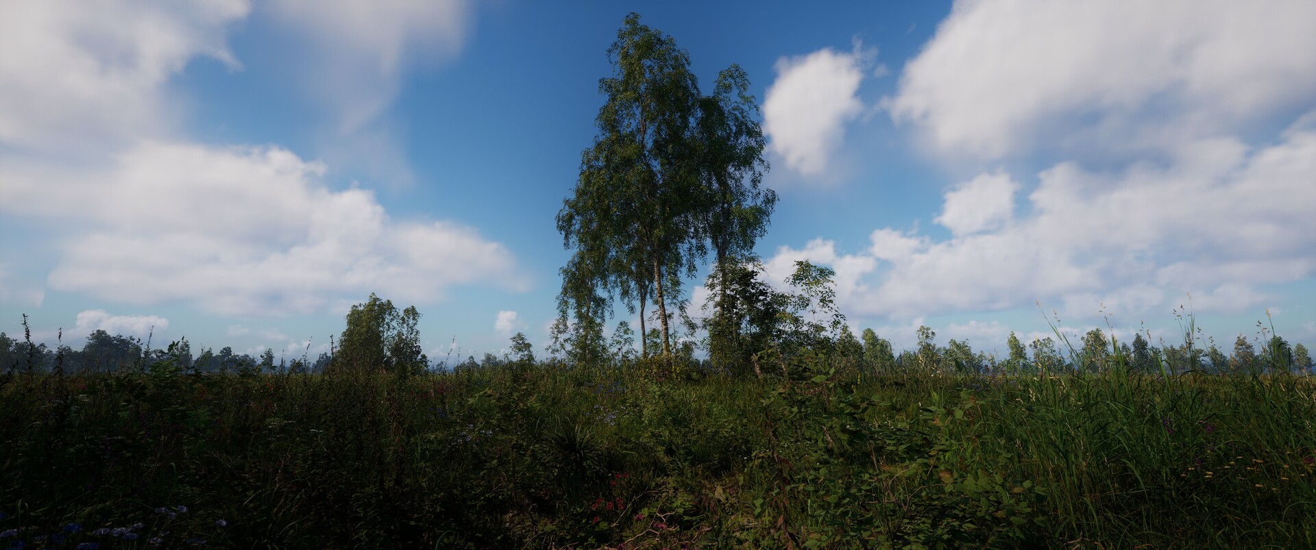 Russian Soul Simulator