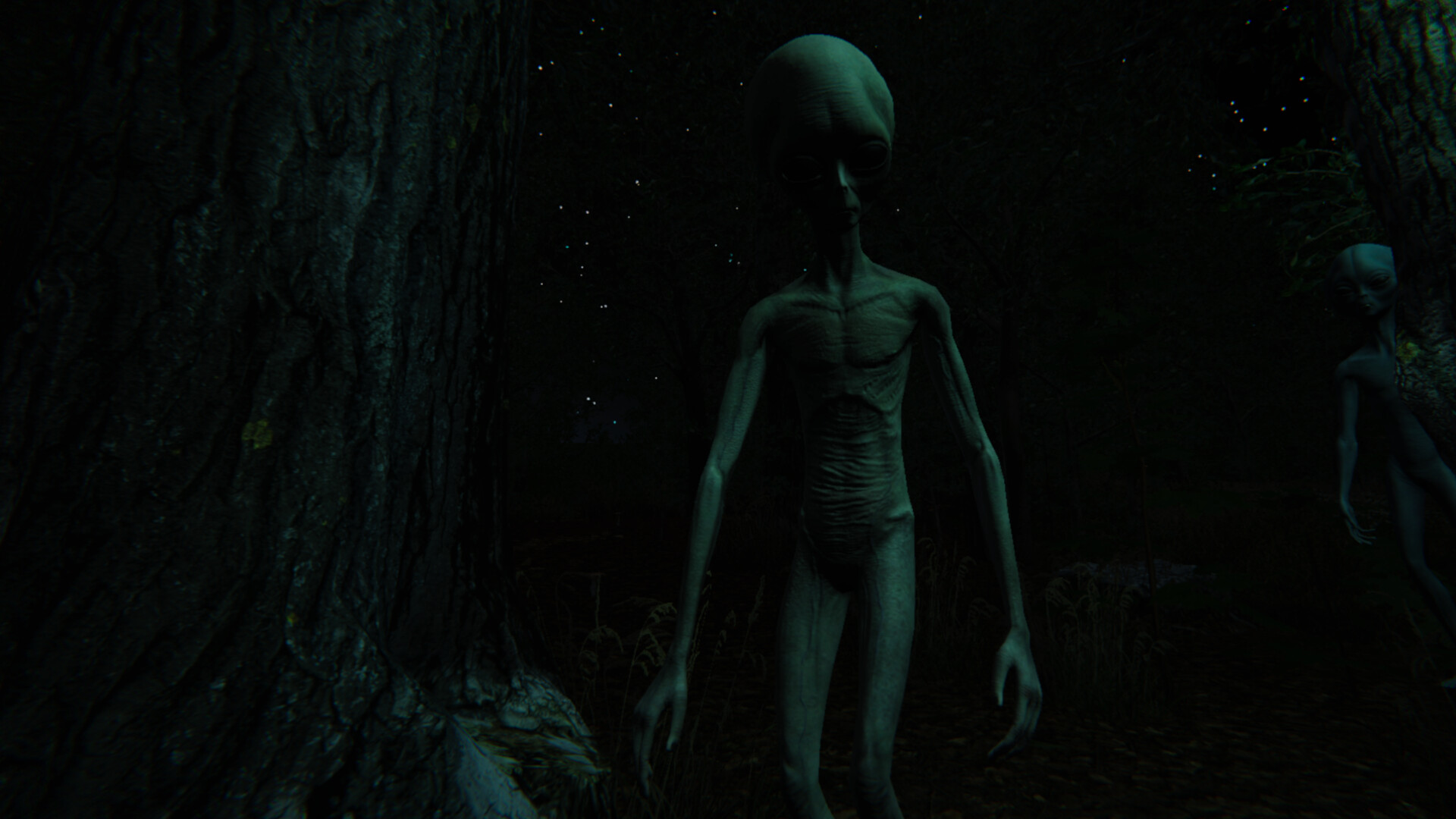 The Echo Paradox
