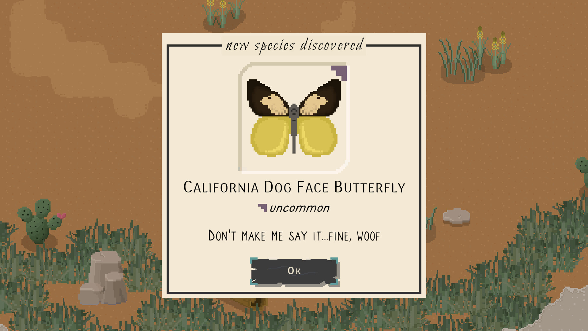 Bug &amp; Seek: Isopods