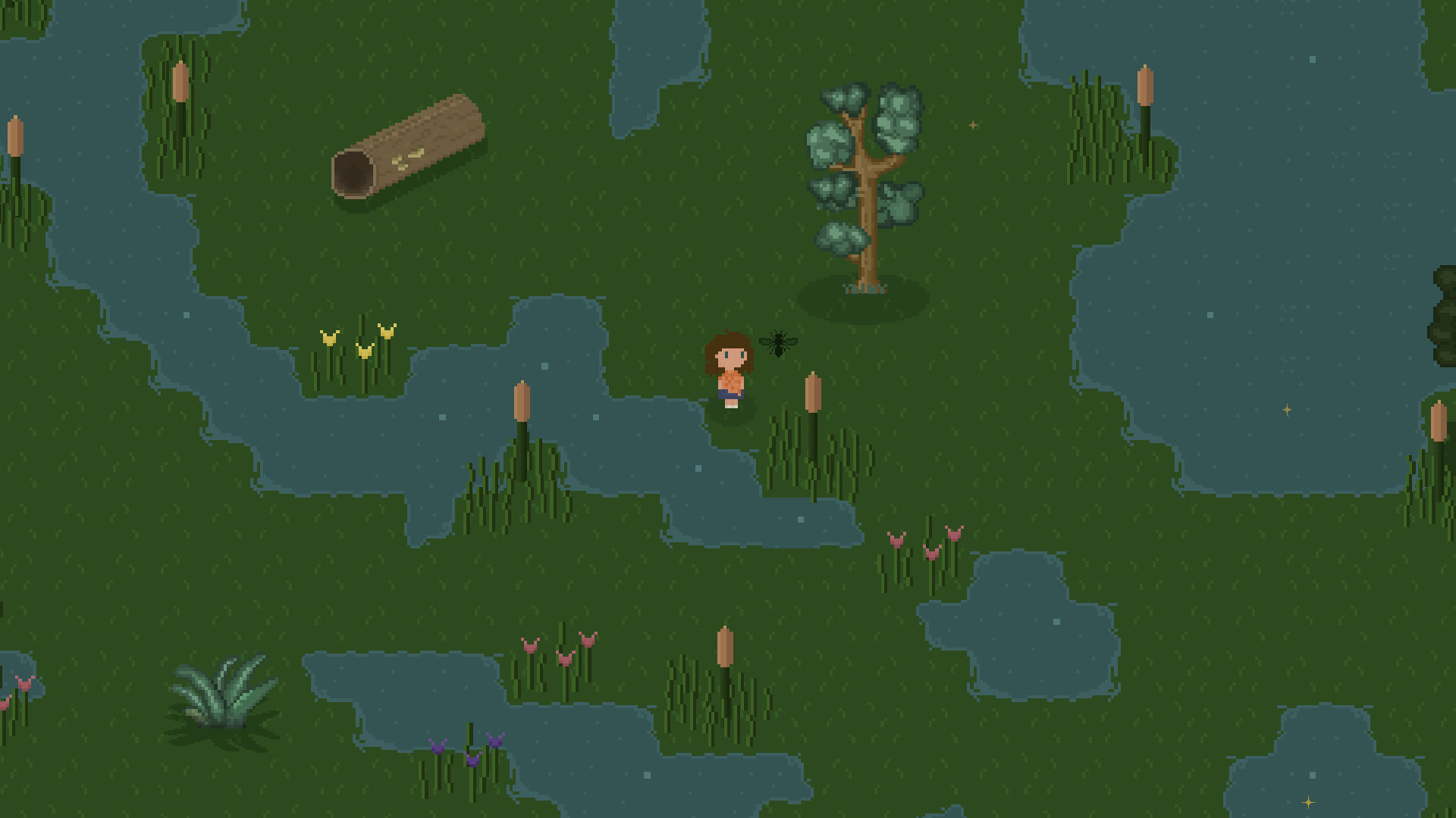 Bug &amp; Seek: Isopods