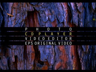 EPS Series Vol. 5: Believer Dreamer – Junko Mizutani