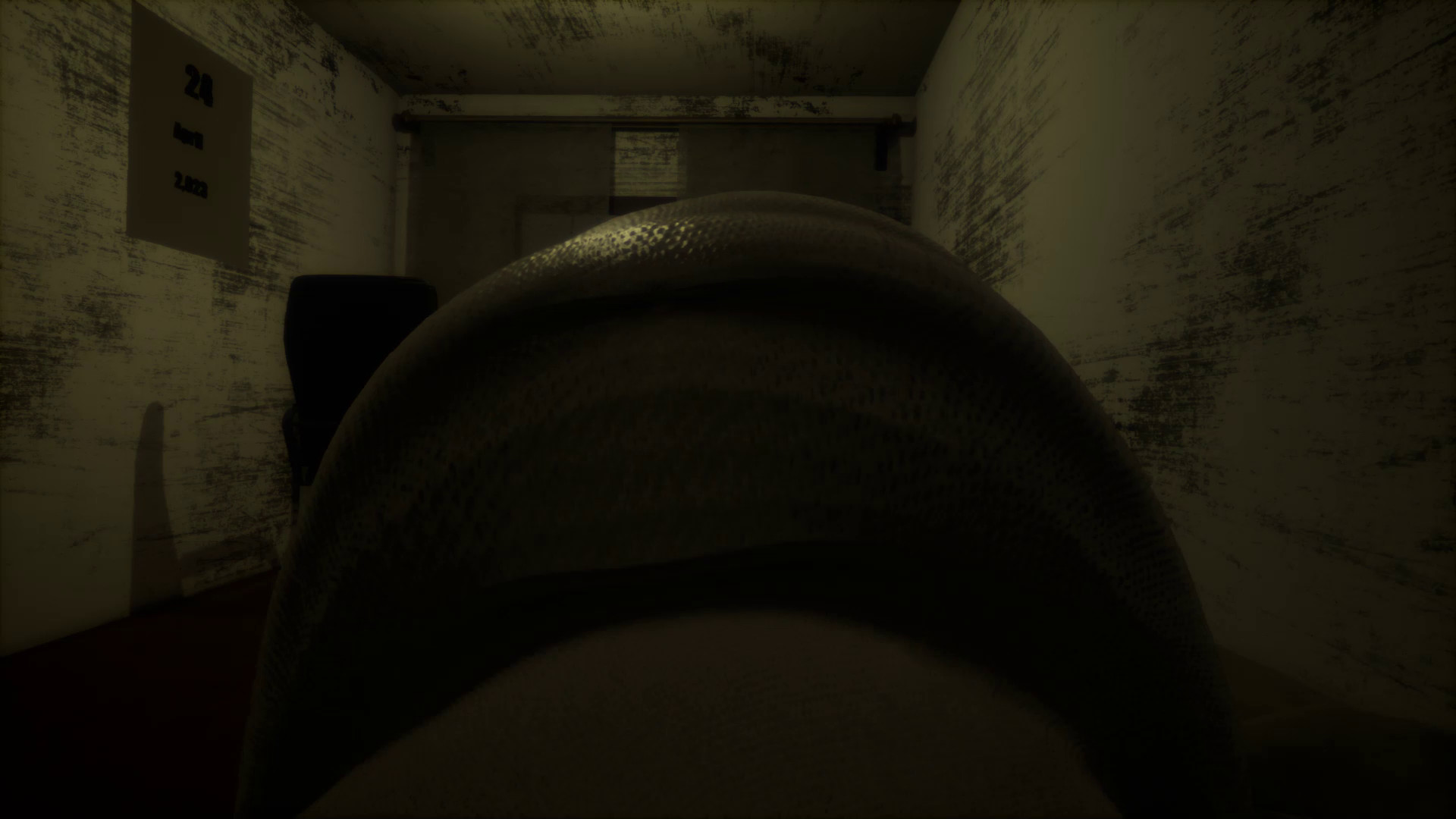 Bed Lying Simulator