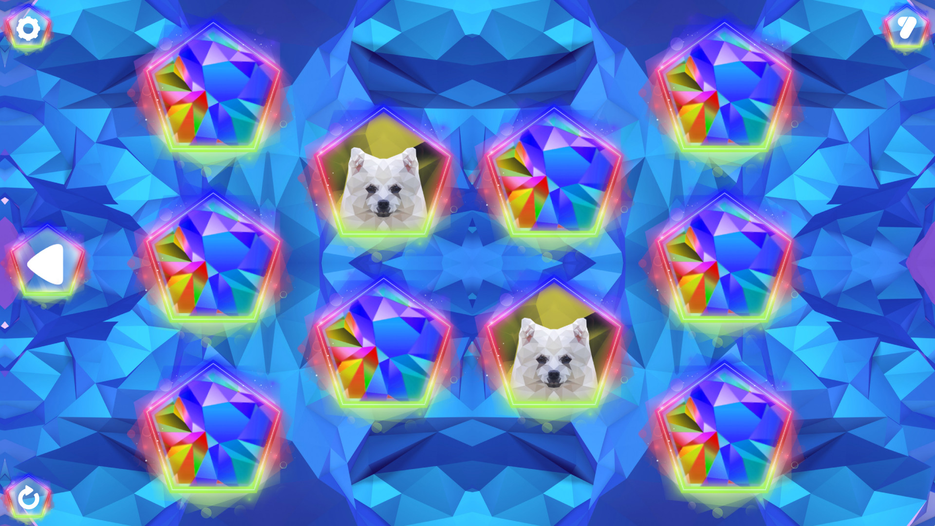 Poly Memory: Dogs