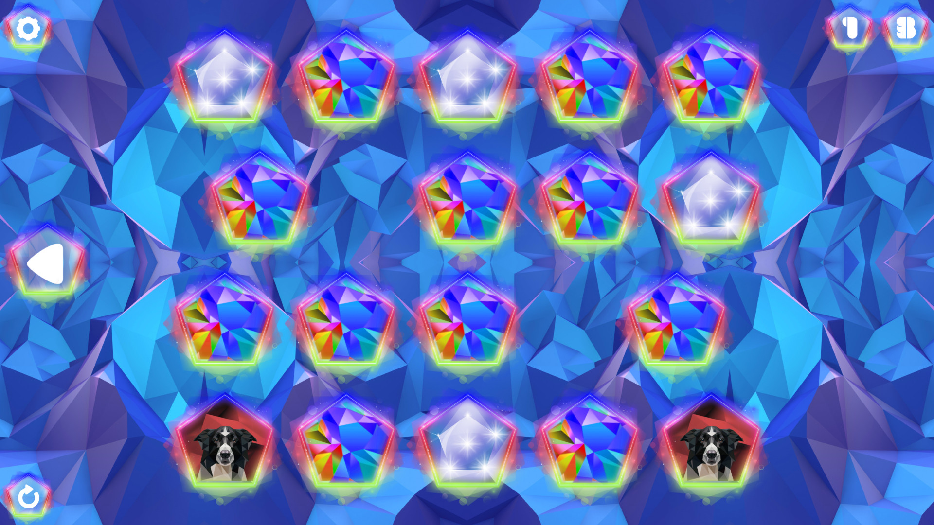 Poly Memory: Dogs