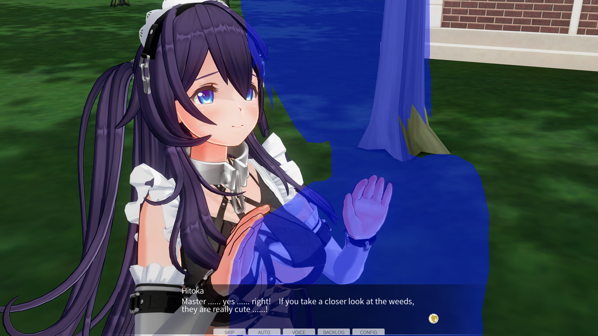 Custom Order Maid 3D2: Character EX Pack – Perverted Extreme Masochist