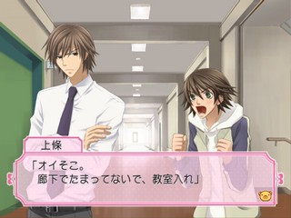 Junjou Romantica: Koi no Doki-doki Daisakusen