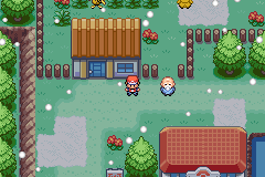 Pokemon FireRed and LeafGreen+