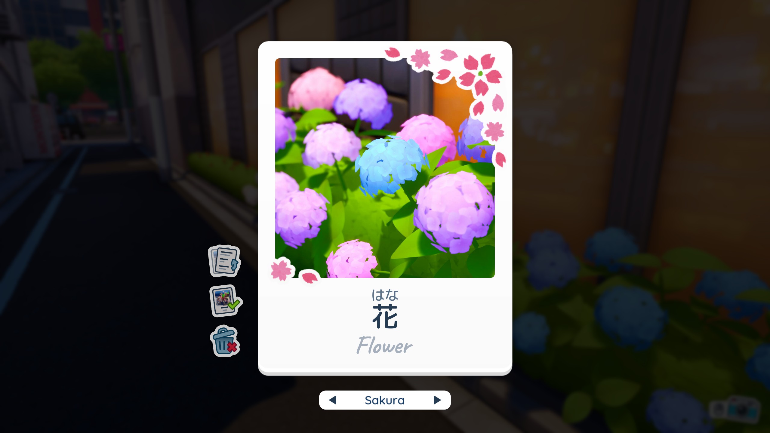 Shashingo: Learn Japanese With Photography