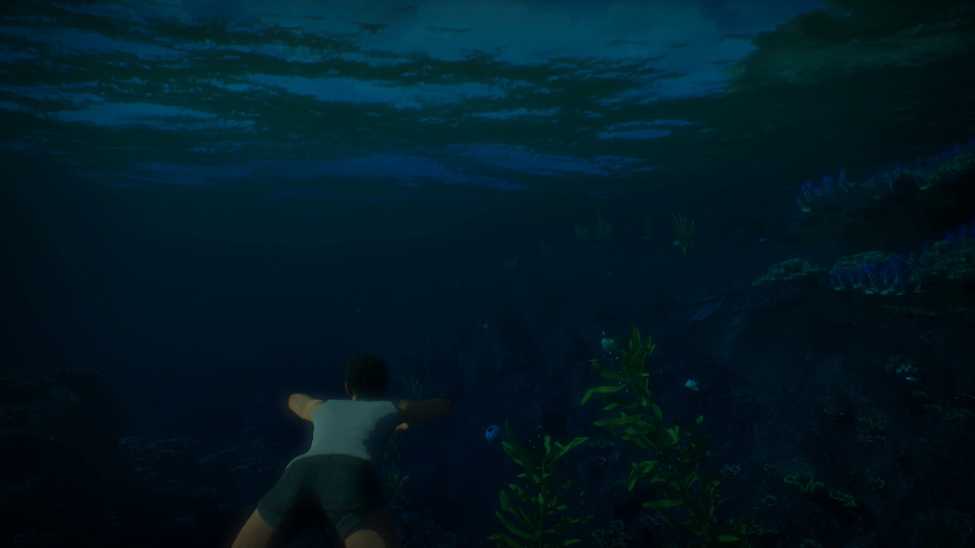 Treasures of the Sunken Ship