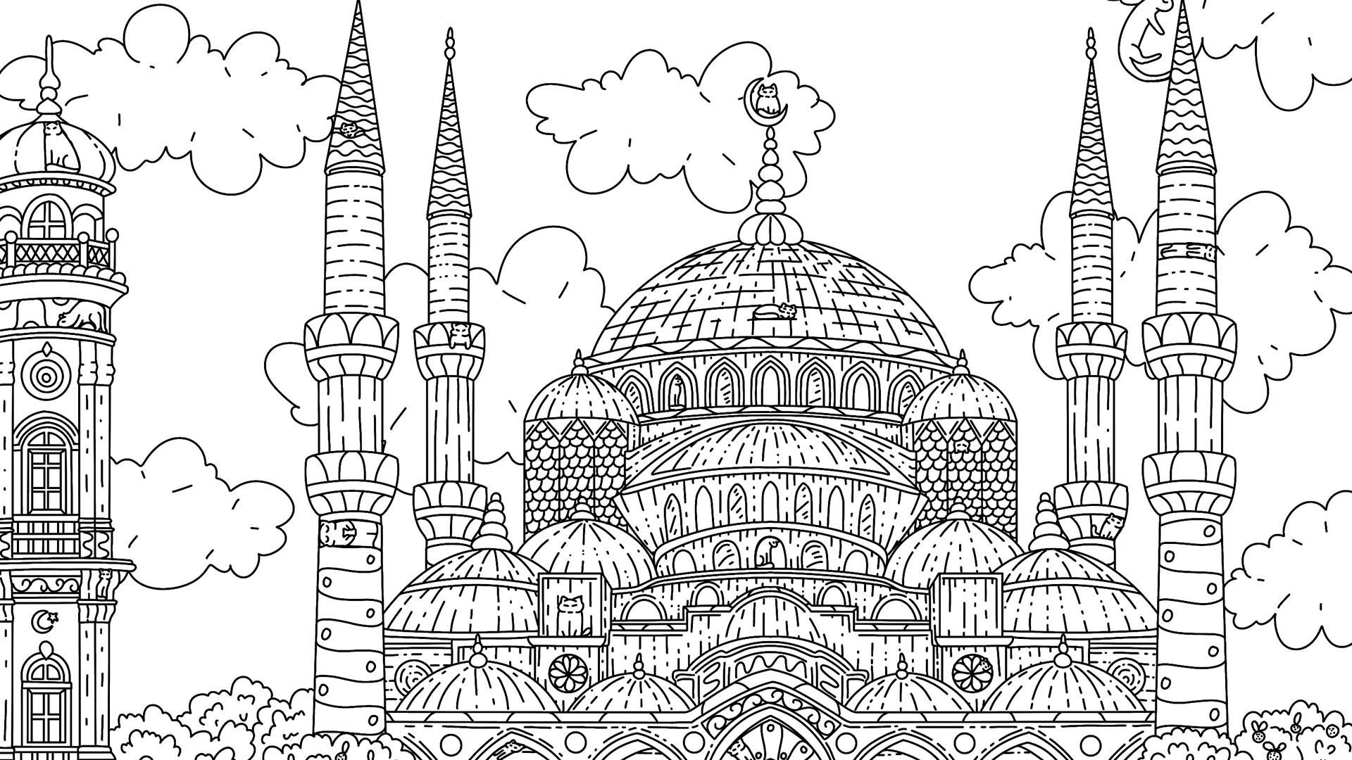 100 Istanbul Cats