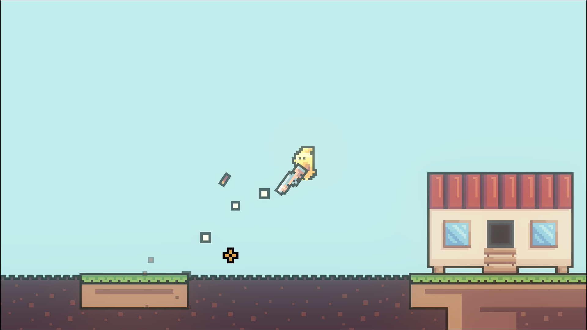 Shotgun Chicken
