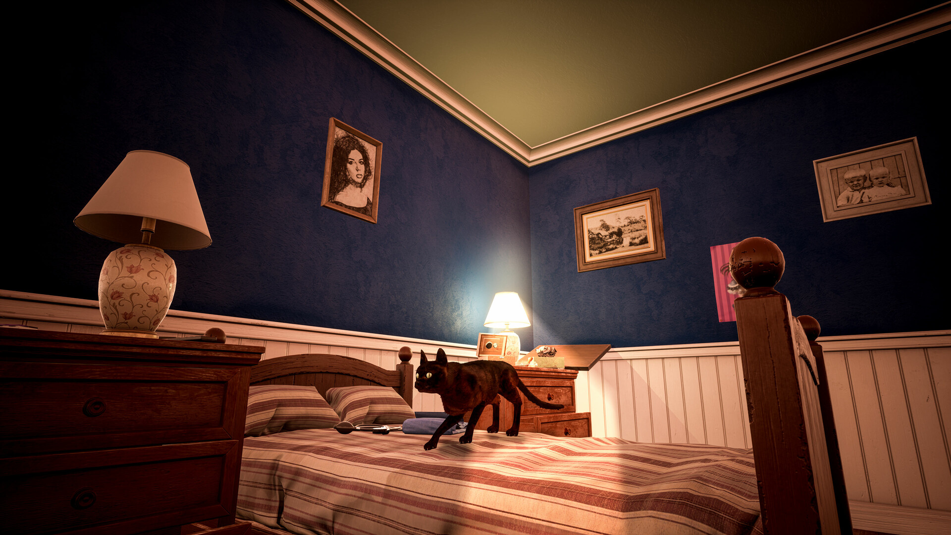 Cat Simulator: Kitty Conundrums