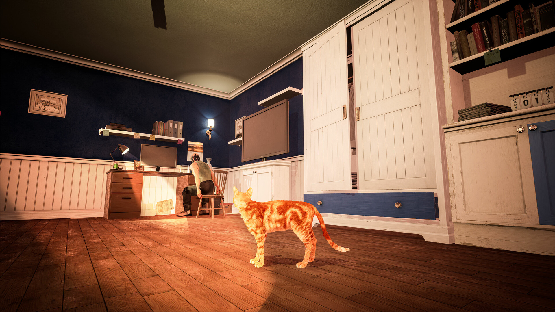 Cat Simulator: Kitty Conundrums
