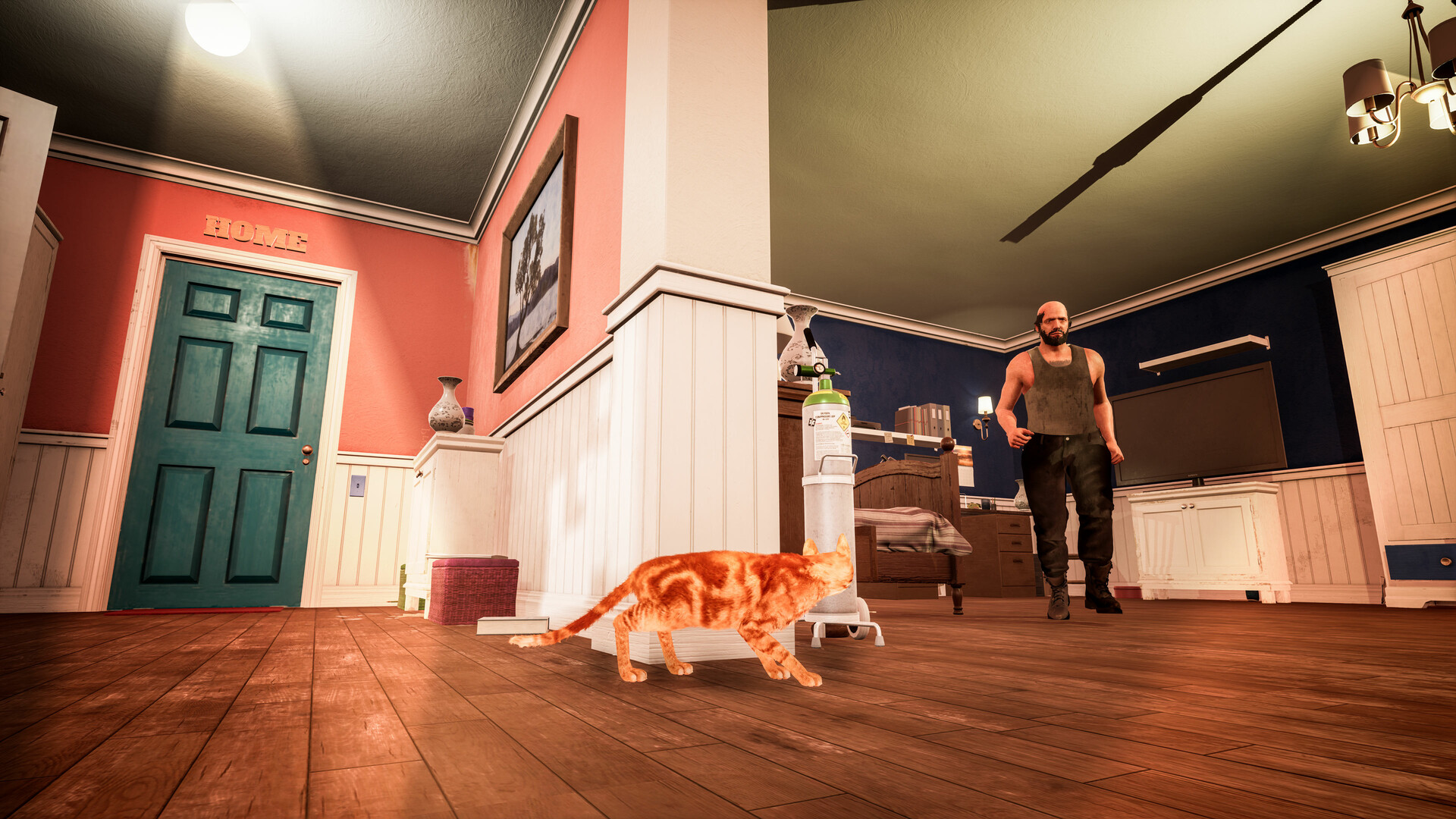 Cat Simulator: Kitty Conundrums