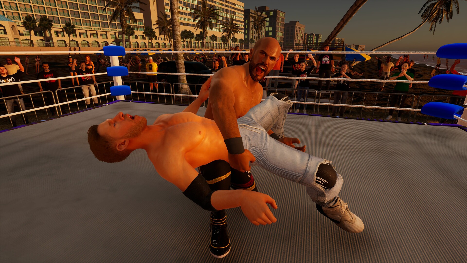 All Elite Wresting: Fight Forever – Giant Swing in the Ring