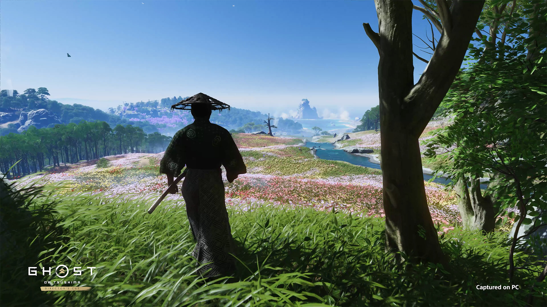 Ghost of Tsushima: Director’s Cut