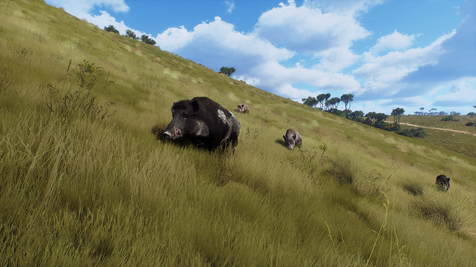 Way of the Hunter: Matariki Park