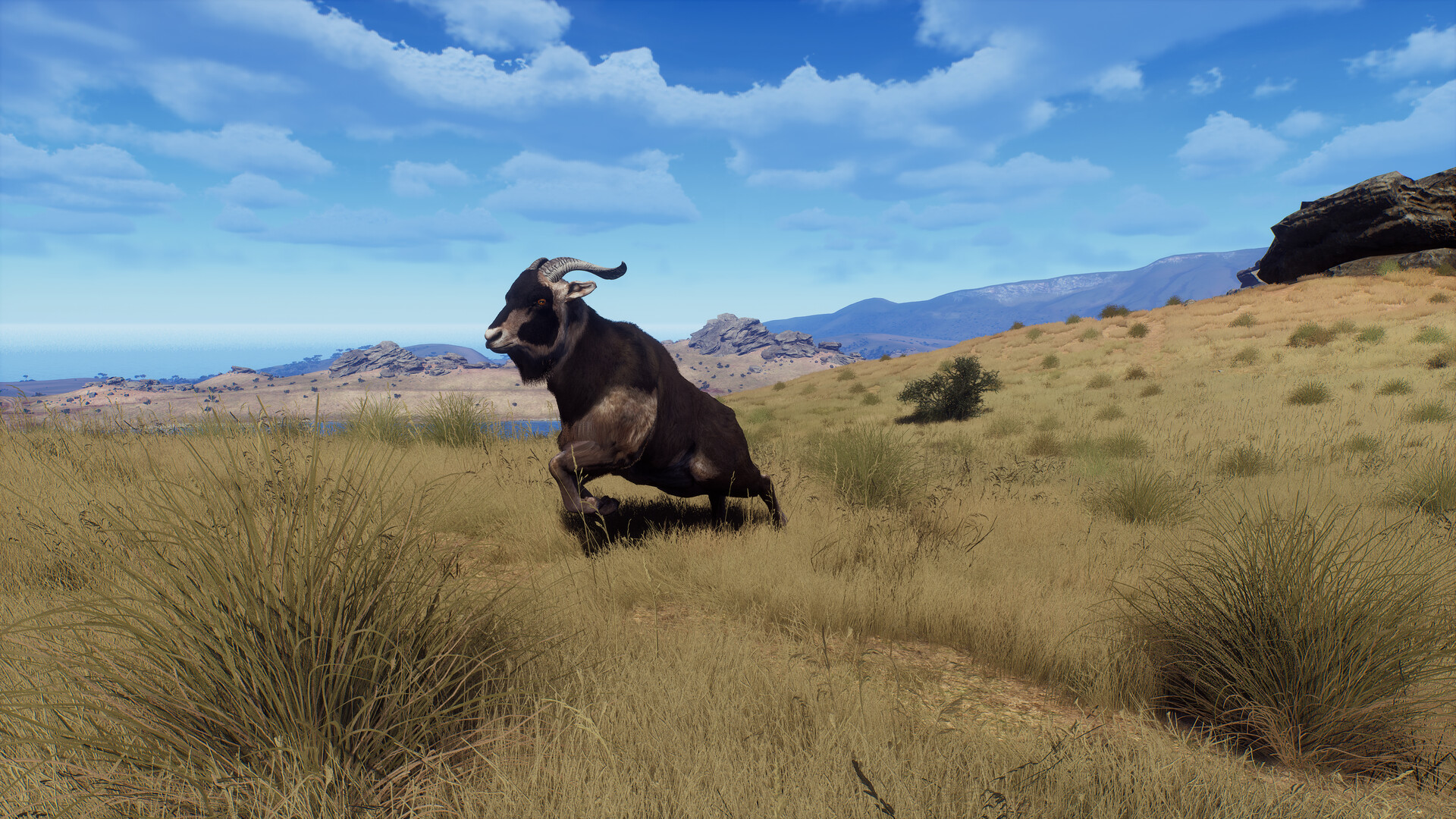 Way of the Hunter: Matariki Park