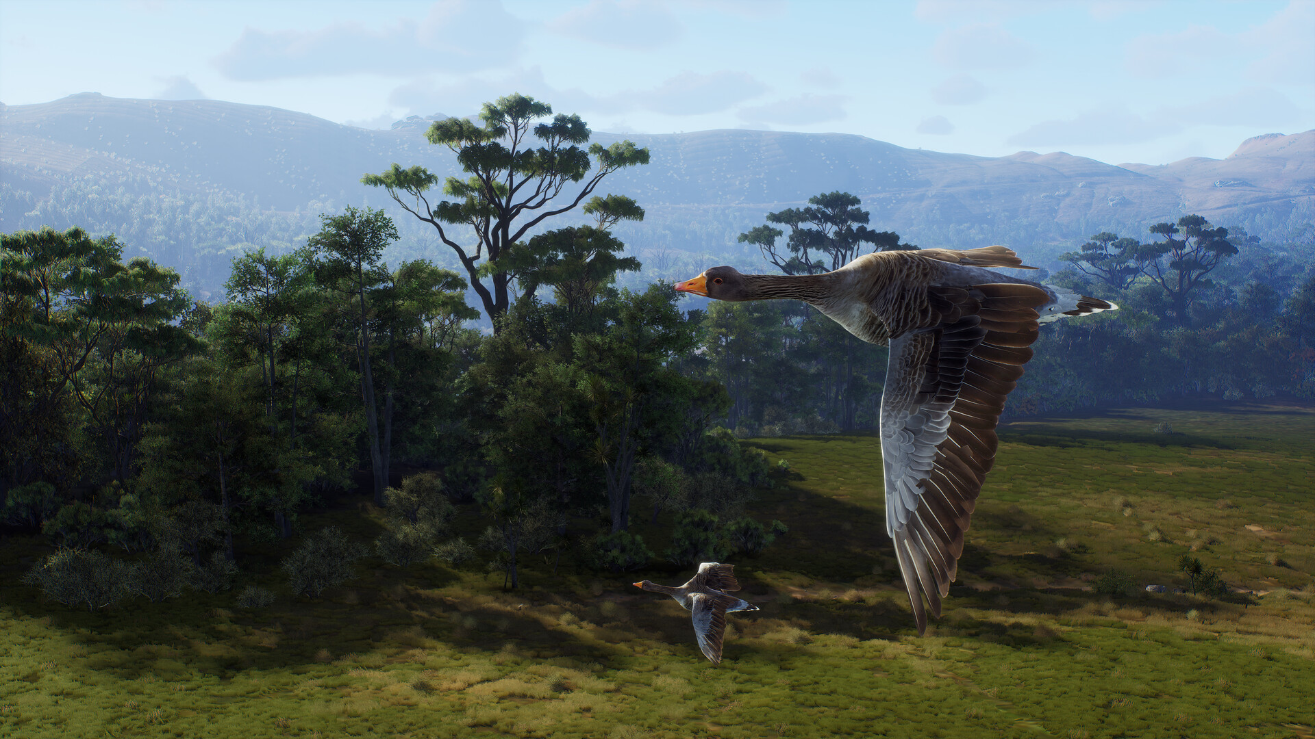 Way of the Hunter: Matariki Park