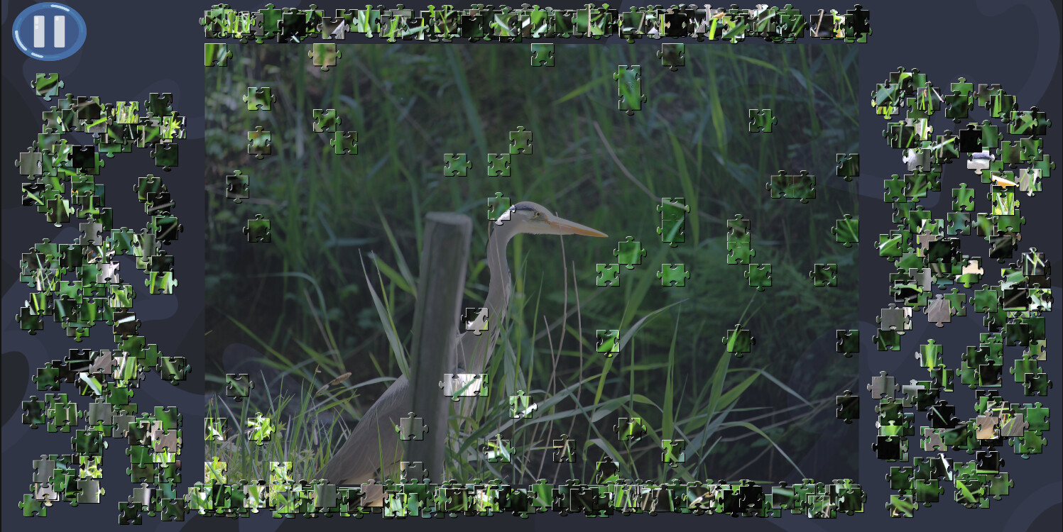 Virtual Jigsaw Puzzles: Animals