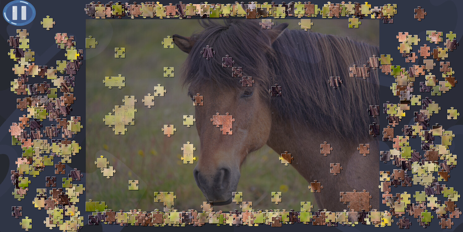 Virtual Jigsaw Puzzles: Animals